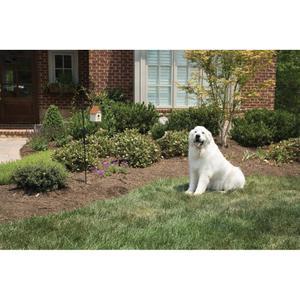 Outdoor ultrasonic anti-bark system PetSafe image-2