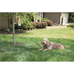 Outdoor ultrasonic anti-bark system PetSafe image-4