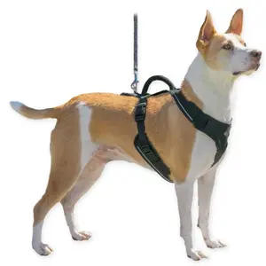 Arreios para cães PetSafe Easy Sport image-2