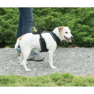 Arreios para cães PetSafe Easy Sport image-3