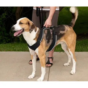 Arreios para cães PetSafe Easy Sport image-5