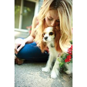 Anti-runaway fence for dogs PetSafe Comfort Fit Nano image-2