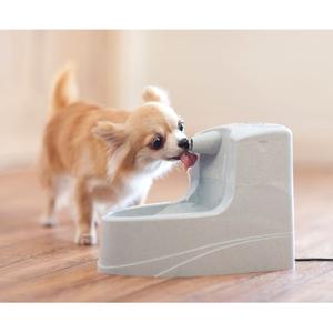product/p/e/petsafe_cy2626_1.jpg
