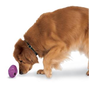 Juguete interactivo para perros PetSafe Twist’n Treat™ image-4