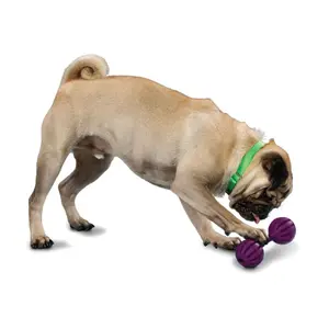 Hondenspeelgoed PetSafe Waggle™ image-1