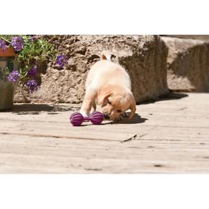 Mjuk benleksak för hundar PetSafe Waggle™ image-1