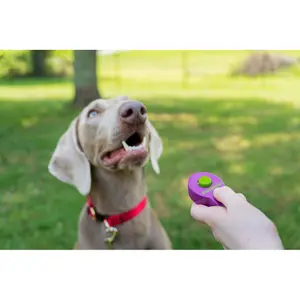 Dog training clicker PetSafe Clik'R™ image-2