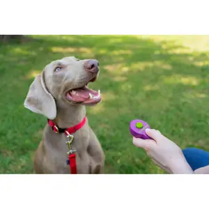 Dog training clicker PetSafe Clik'R™ image-3