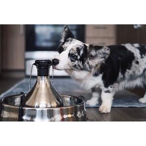 360° stainless steel water cooler PetSafe image-3