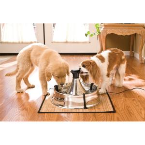 360° stainless steel water cooler PetSafe image-4