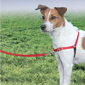 Hundegeschirr PetSafe Easy Walk image-1