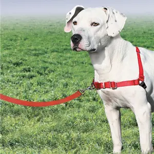 Hundegeschirr PetSafe Easy Walk image-2