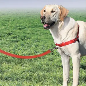 Hundegeschirr PetSafe Easy Walk image-3