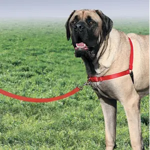Hundegeschirr PetSafe Easy Walk image-4