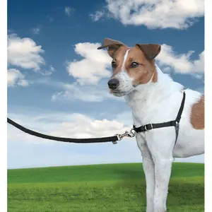 Hundegeschirr PetSafe Easy Walk image-1
