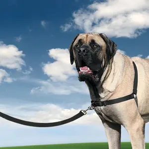 Hundegeschirr PetSafe Easy Walk image-3