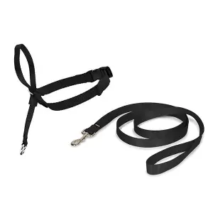 Λουρί για σκύλο PetSafe Easy Walk image-0