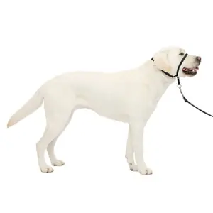 Λουρί για σκύλο PetSafe Easy Walk image-1