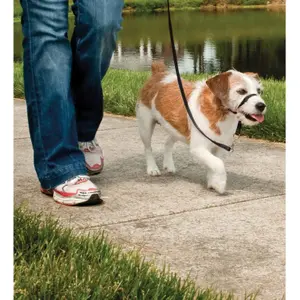 Λουρί για σκύλο PetSafe Easy Walk image-2