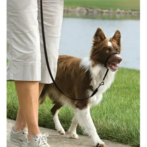 Λουρί για σκύλο PetSafe Easy Walk image-3