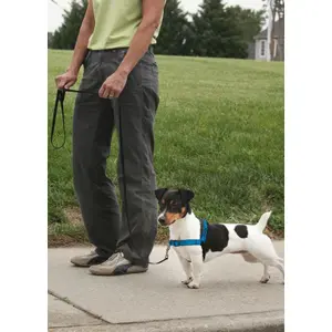 Arnés para perros PetSafe EasyWalk Deluxe image-1