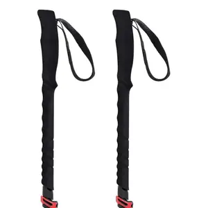 Pólos turísticos TSL 5 Cross - Swing image-3