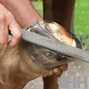 Tarka do kopyt Pferd image-1