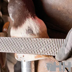 Tarka do kopyt Pferd image-3