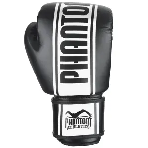 Γάντια πυγμαχίας Phantom Athletics MT-Pro image-1