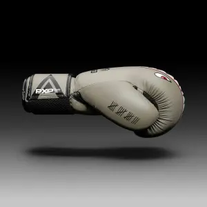 Γάντια πυγμαχίας Phantom Athletics Fight Squad image-1