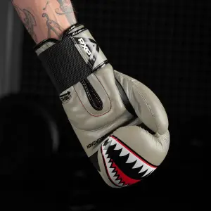 Γάντια πυγμαχίας Phantom Athletics Fight Squad image-3