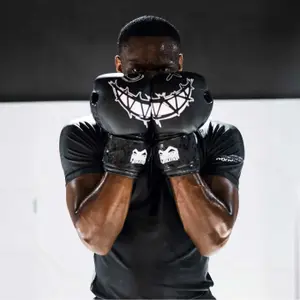 Γάντια πυγμαχίας Phantom Athletics Serious image-1