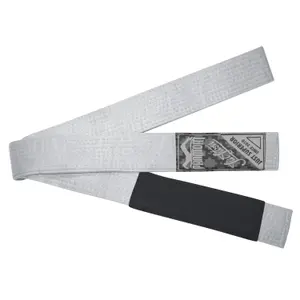 Pas Jiu-Jitsu brazylijski Phantom Athletics Tactic image-0