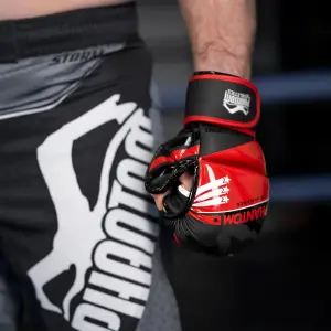 Γάντια MMA εκπαίδευσης Phantom Athletics Raider image-4