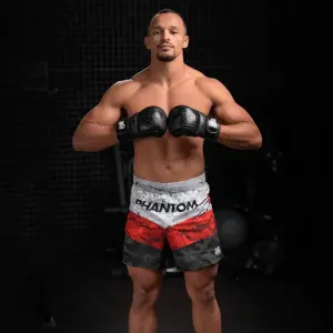 Γάντια MMA εκπαίδευσης Phantom Athletics German Eagle image-3