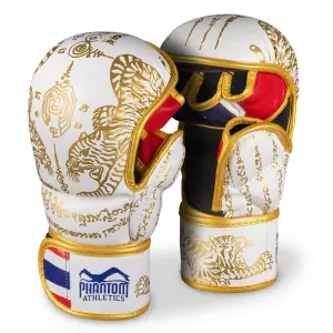 Thaiboxen Trainingshandschuhe Phantom Athletics image-0
