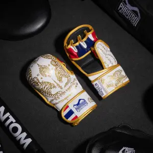 Thaiboxen Trainingshandschuhe Phantom Athletics image-5