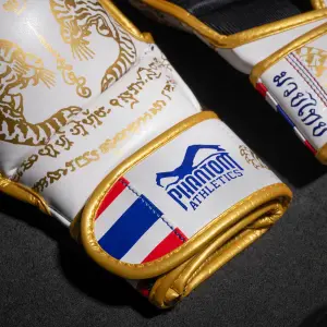 Thaiboxen Trainingshandschuhe Phantom Athletics image-6