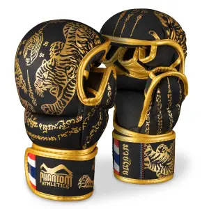 Trænings Thai Boksehandsker Phantom Athletics image-0