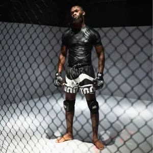 Γάντια MMA εκπαίδευσης Phantom Athletics Serious image-4