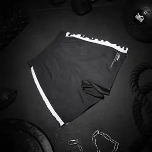 Σύντομο MMA Phantom Athletics Evo Apex image-4