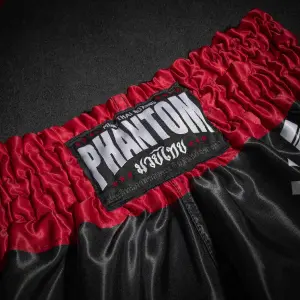 Σορτς ταϊλανδέζικης πυγμαχίας Phantom Athletics Tiger Unit image-3