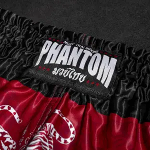 Σορτς ταϊλανδέζικης πυγμαχίας Phantom Athletics Sak Yant image-3