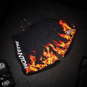 Σύντομο MMA Phantom Athletics Fusion R Punisher image-2