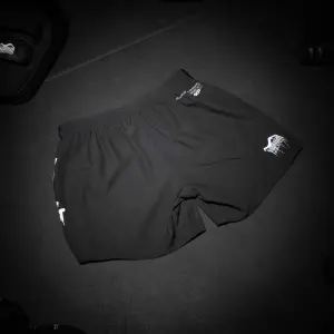Σύντομο MMA Phantom Athletics Fusion R Need Money image-3