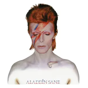 500 piece puzzle PHD Merchandise David Bowie Rock Saws Aladdin Sane image-0