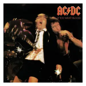 500 piece puzzle PHD Merchandise AC/DC Rock Saws If You Want Blood image-0