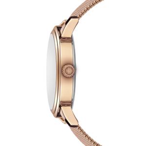 Montre mesh Philipp Blanc Geneva image-4