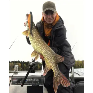 Cap Pinewood Extreme image-1