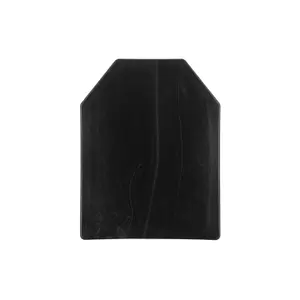 Plaque factice Pirate Arms SAPI image-1